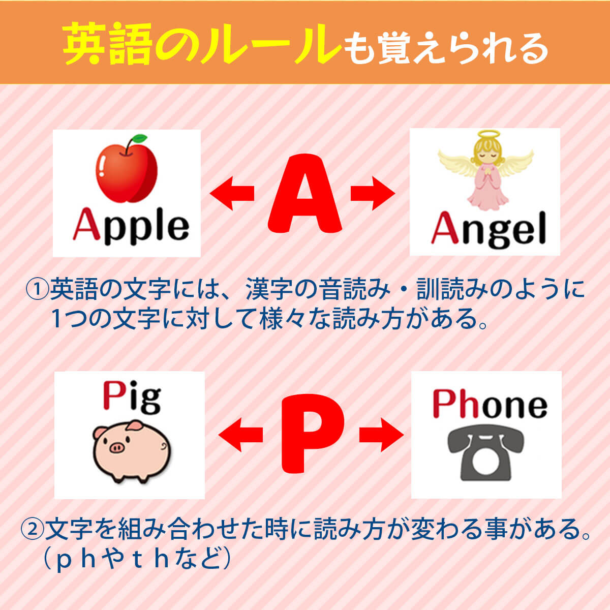 英語のルールも覚えられる