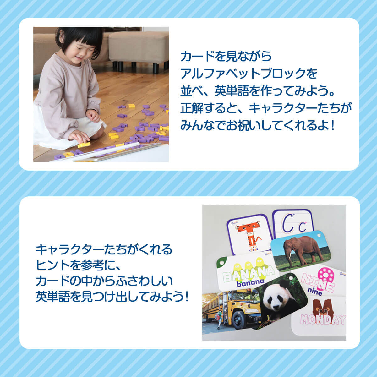 フラッシュカード